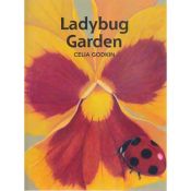 Ladybug Garden